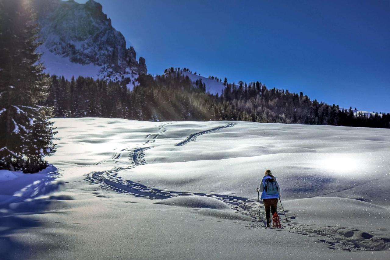 Apartments Vaiolet Santa Cristina Val Gardena Zewnętrze zdjęcie