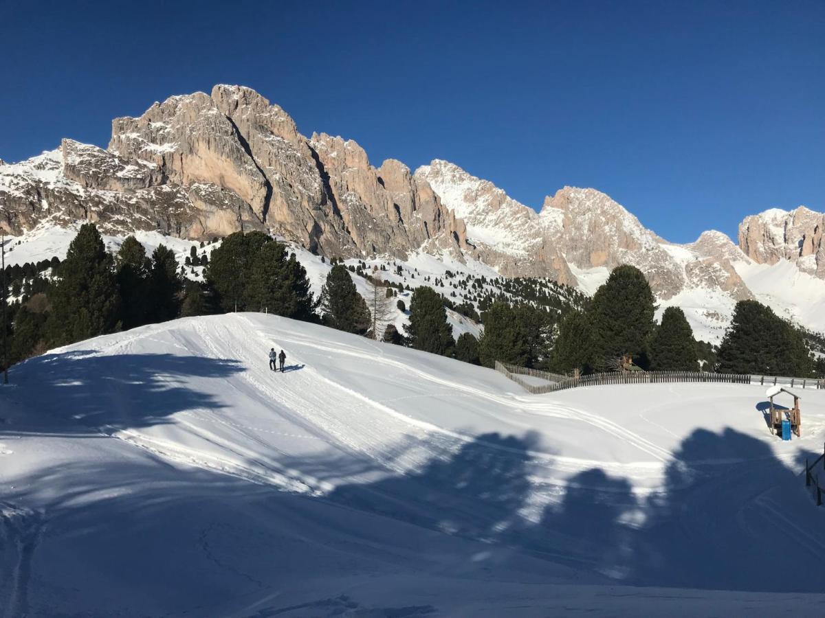 Apartments Vaiolet Santa Cristina Val Gardena Zewnętrze zdjęcie