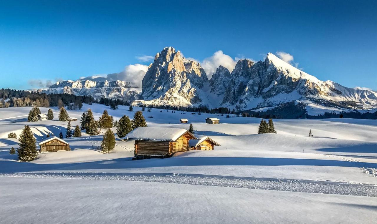 Apartments Vaiolet Santa Cristina Val Gardena Zewnętrze zdjęcie